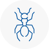 Ant Removals In Brymbo