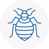 Bed Bug Extermination In Brymbo