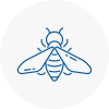 Bee Nest Removal Brymbo