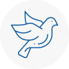 Bird Prevention Brymbo