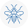 Brymbo Hornet Nest Removals