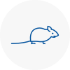 Mice Exterminators In Brymbo