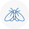 Moth Control Specialists In Brymbo