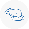 Rat Control Brymbo