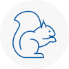 Brymbo Rodent Removals